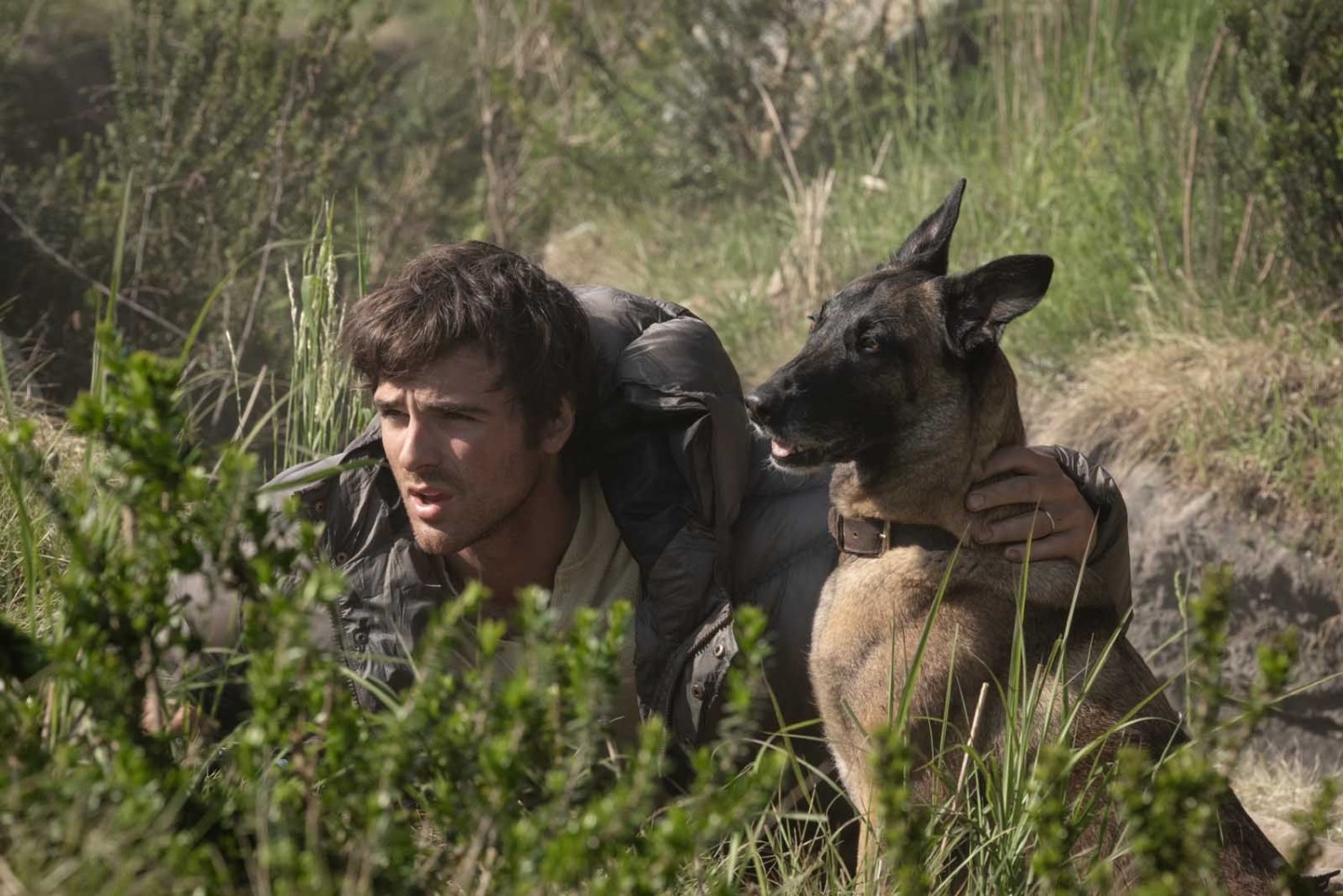 The Dog Stars